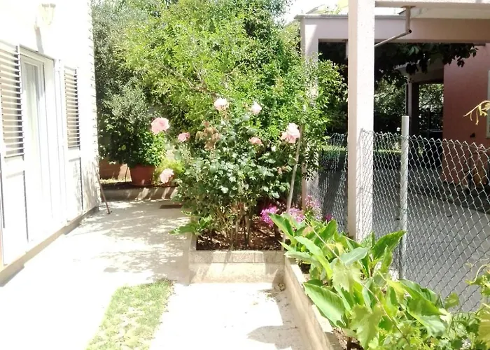 Margita * ヴォディツェ